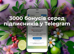 3000 бонусних гривень за підписку на Telegram-канал!