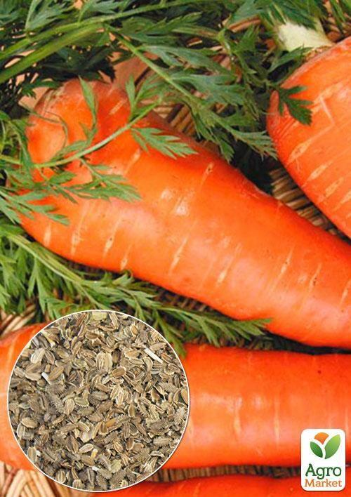 На развес Морковь "Шантане Роял" ТМ "Весна" цена за 10г