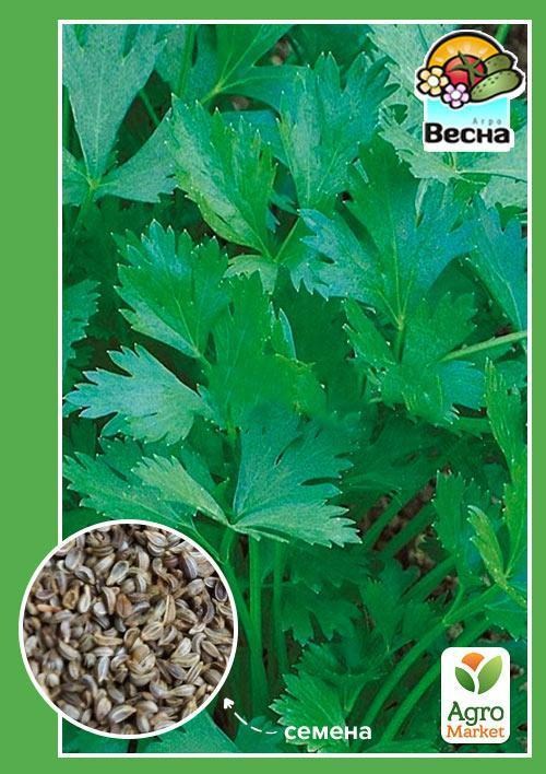 Петрушка "Карнавал" ТМ "Весна" 2г