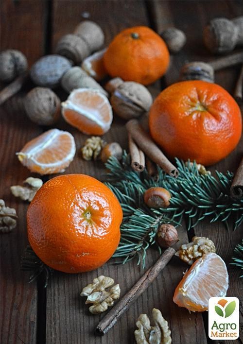 Мандарин "Шишкан"