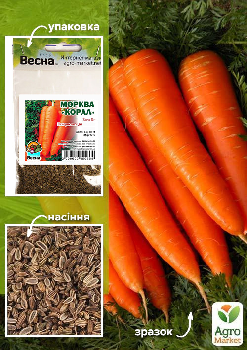 Морква "Корал" (Зипер) ТМ "Весна" 5г
