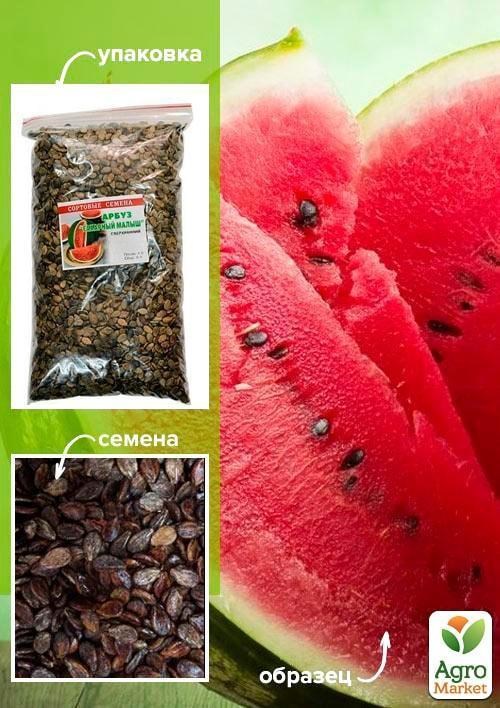 Арбуз "Сахарный малыш" ТМ "Весна" 500г