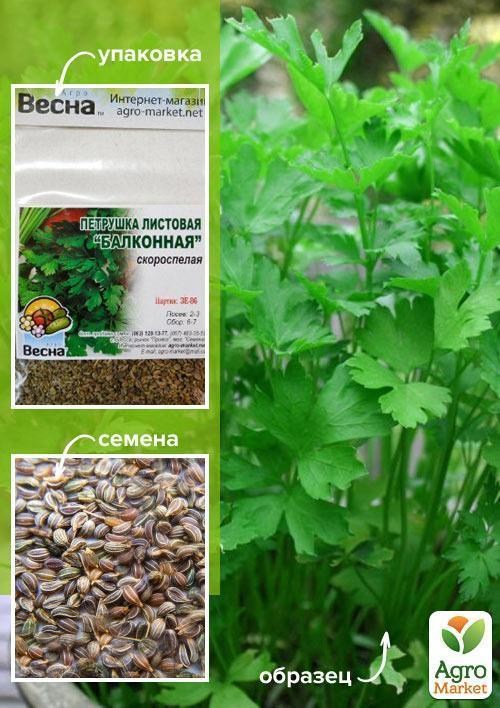 Петрушка "Балконна" (Зипер) ТМ "Весна" 7г
