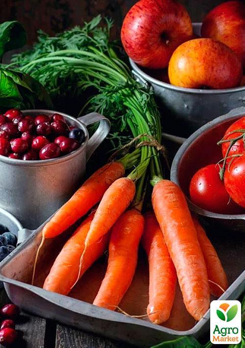 Морква "Королева осені" (Зипер) ТМ "Весна" 5г - фото 3