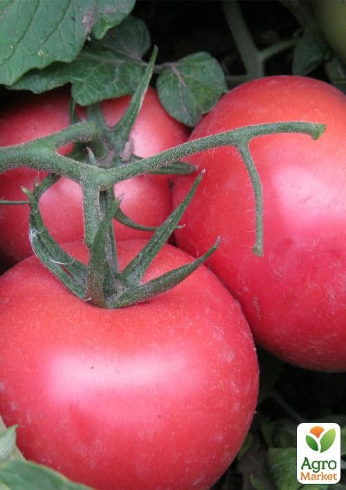 Томат "Сором'язливі щічки" ТМ "Vesna Select" 0.2г