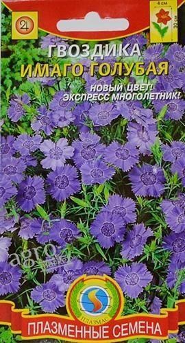 Гвоздика "Імаго блакитна" ТМ "Плазмас" 0.05г