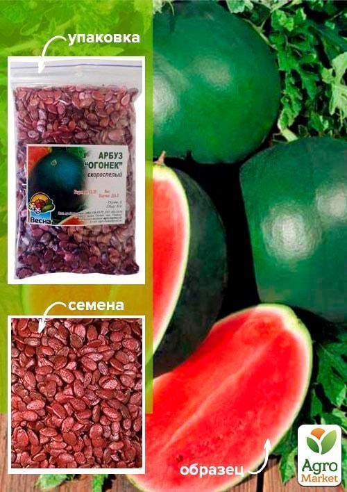 Арбуз обработанный "Огонёк" ТМ "Весна" 100г