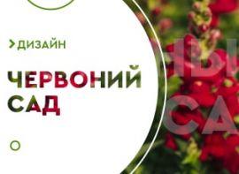 Вогняний сад: 10 рослин з червоними квітами - корисні статті про садівництво від Agro-Market