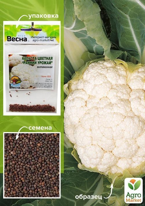 Капуста цвітна "Ранній урожай" (Зипер) ТМ "Весна" 1г - фото 2