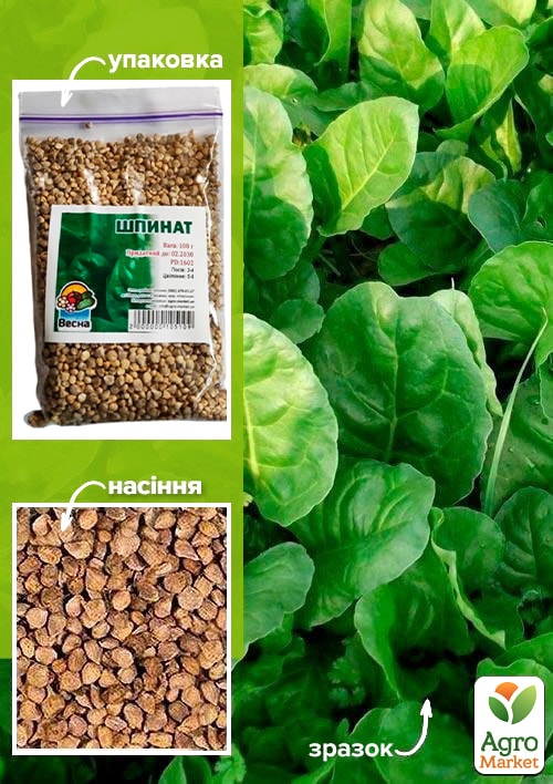Шпинат ТМ "Весна" 100г