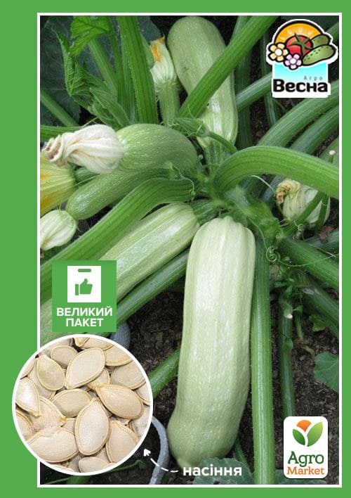 Кабачок "Кущовий" (Великий пакет) ТМ "Весна" 4г