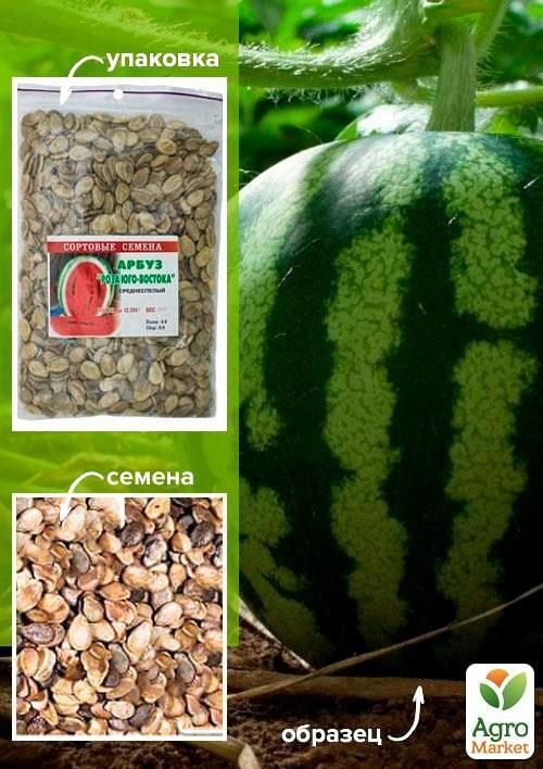 Арбуз "Роза юго-востока" ТМ "Весна" 100г