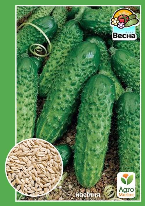Огірок "Кріспіна F1" ТМ "Весна" 0.25г