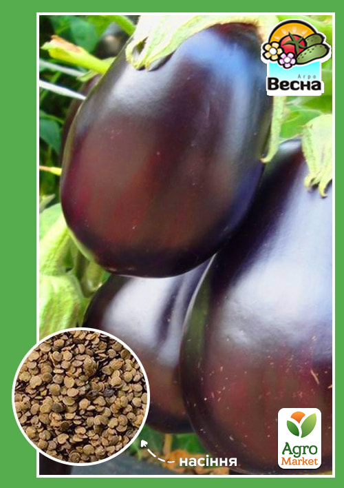 Баклажан "Бичачий лоб" ТМ "Весна" 0.2г