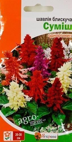 Сальвія блискуча "Суміш" ТМ "Яскрава" 0.2г