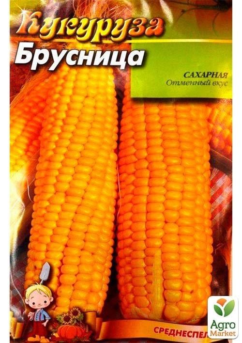 Кукурудза "Брусниця" (Великий пакет) ТМ "Весна" 15г - фото 2