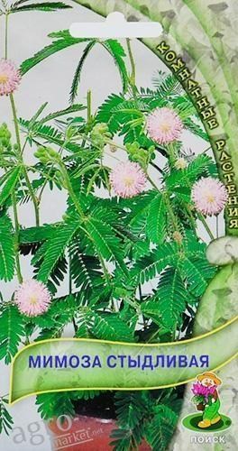 Мімоза сором'язлива ТМ "Пошук" 0.3 г