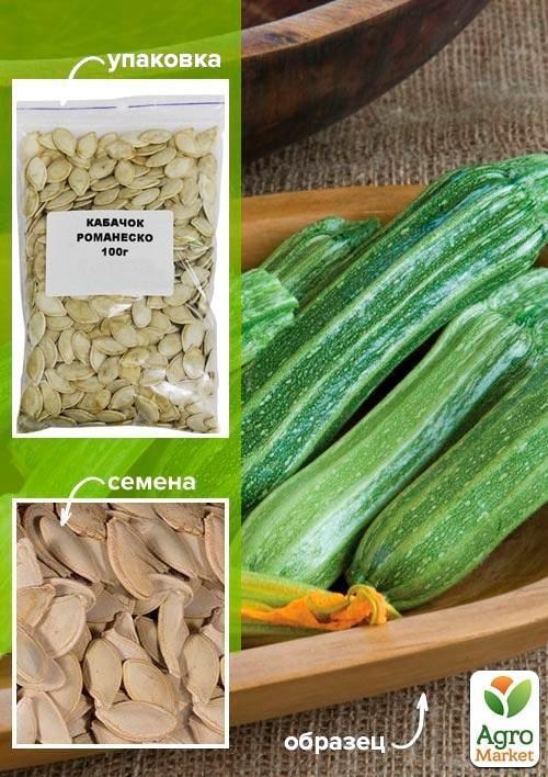 Кабачок "Романеско" ТМ "Весна" 100г