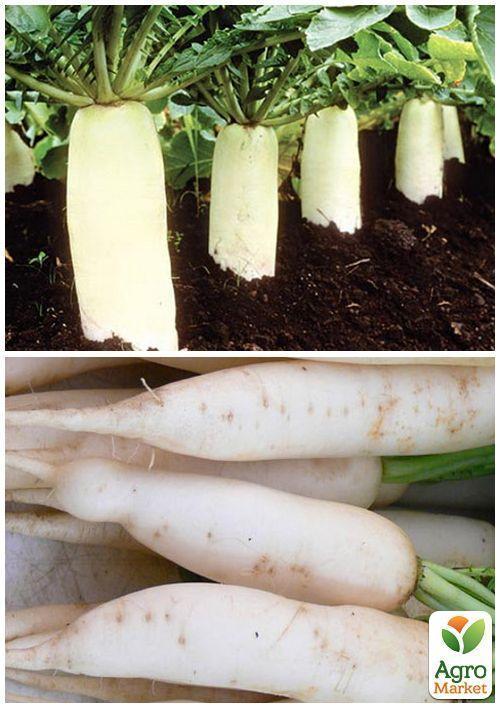 На вагу Редька "Лебідка" ТМ "Весна" ціна за 15г - фото 3