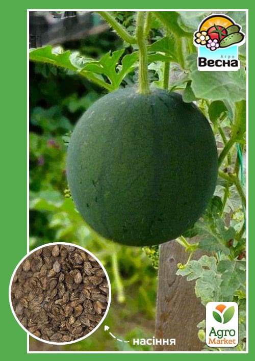 Арбуз "Огонек" ТМ "Весна" 1.5г
