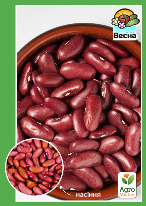 Квасоля "Рубін" (Великий пакет) ТМ "Весна" 5г
