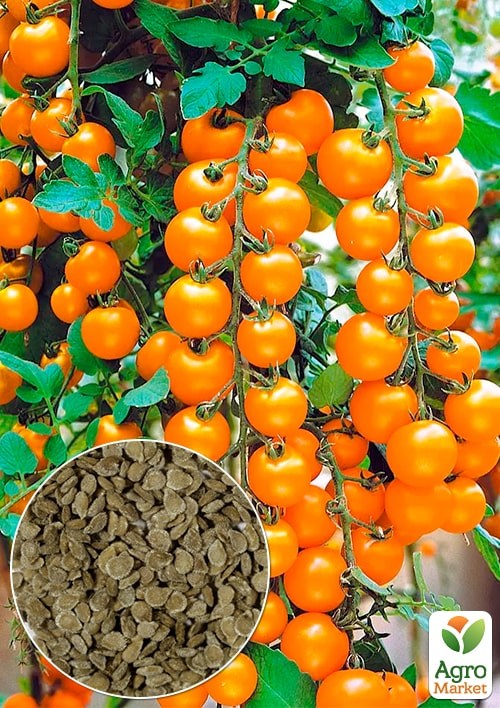 На развес Томат "Рапунцель" ТМ "Весна" цена за 1г