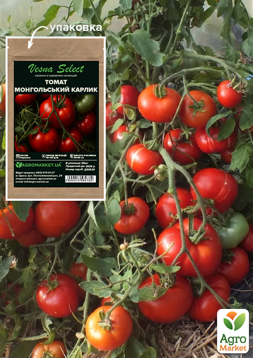 Томат "Монгольский карлик" ТМ "Vesna Select" 20шт