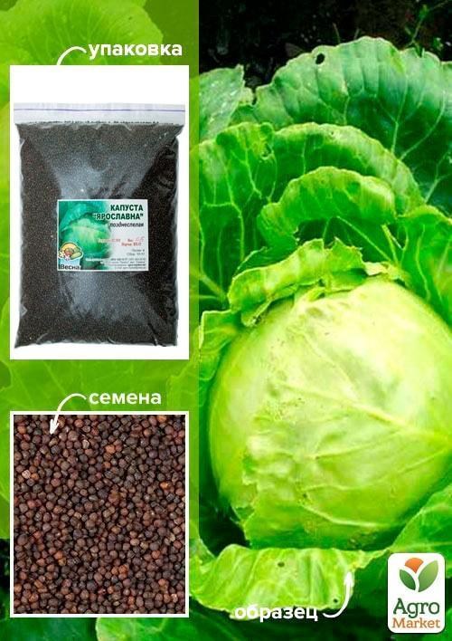 Капуста "Ярославна" ТМ "Весна" 500г