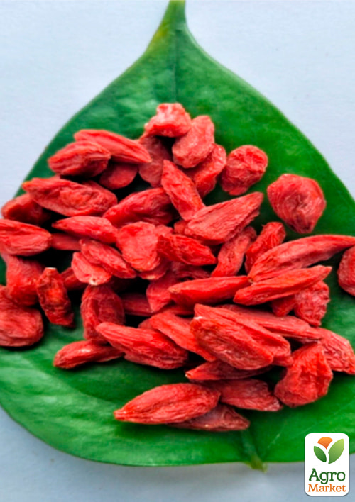 Годжи "Суперфрут" (перекрестное опыление, садить по 2 шт) - фото 6