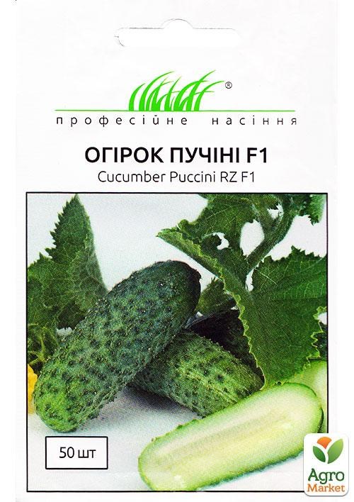 Огірок "Пучіні F1" ТМ "Hem Zaden" 50шт NEW