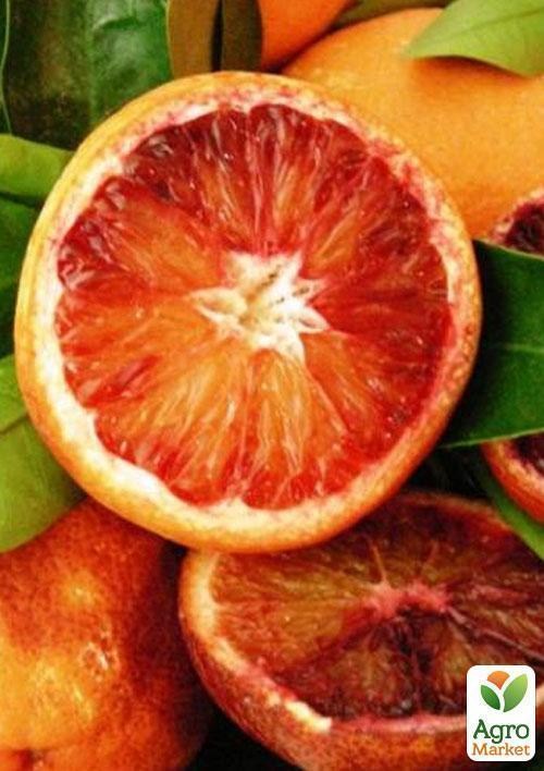 Апельсин "Кара-Кара"