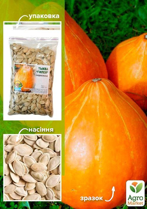 Тыква "Гилея" ТМ "Весна" 500г