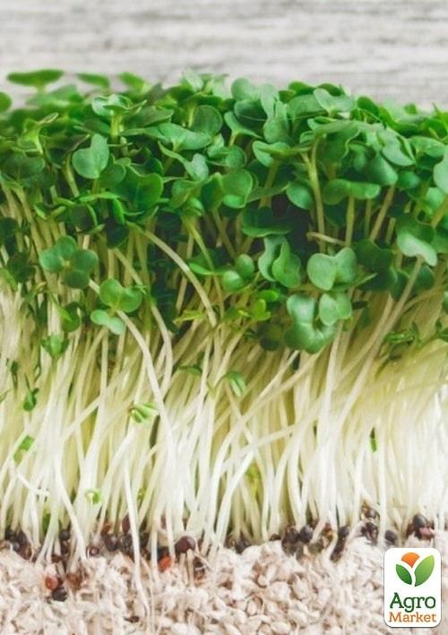 Проращиватель (спаутер) + набор семян микрозелени №1 ТМ "BIO Natura"  - фото 4