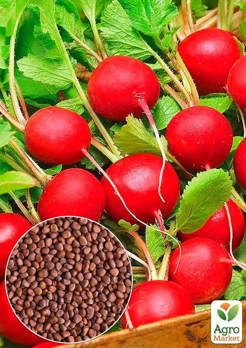 Редис "Элиза" (Зипер) ТМ "Весна" 7г