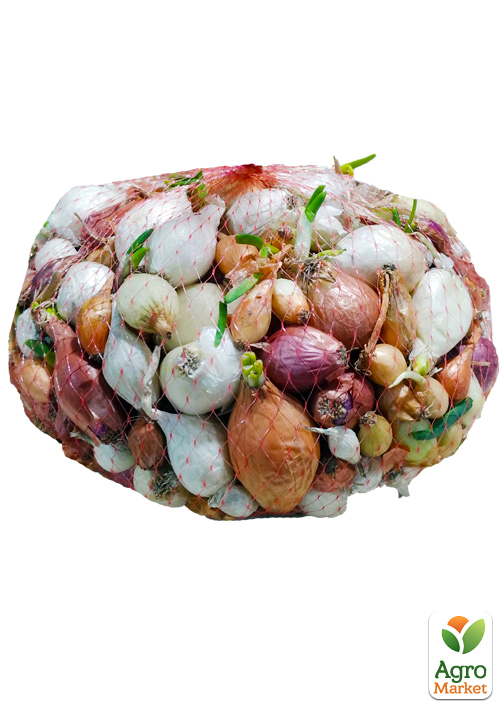Лук-севок 1кг (арбажейка) микс сортов - фото 4