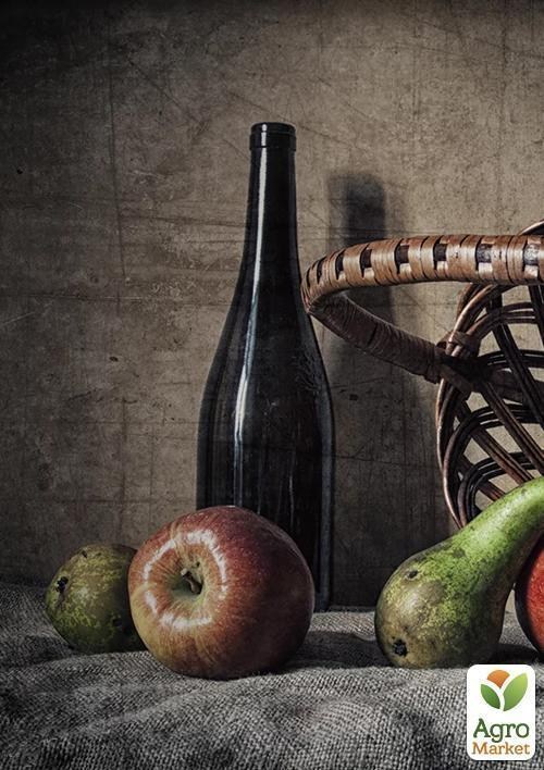 Яблоня "Бребурн" (зимний сорт, поздний срок созревания) - фото 3