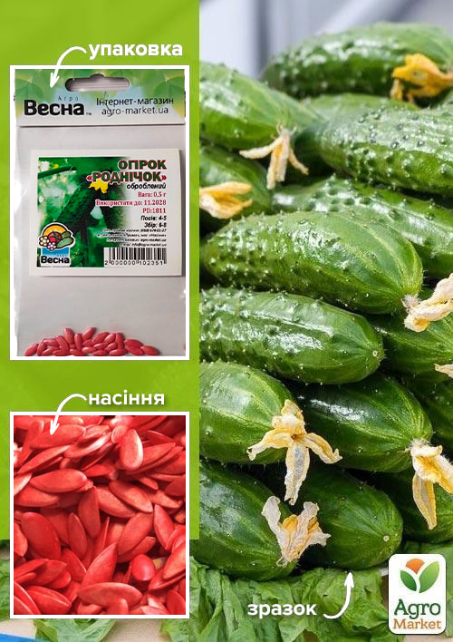Огурец обработанный "Родничок" (Зипер) ТМ "Весна" 0.5г