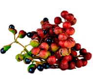 Комнатный перец