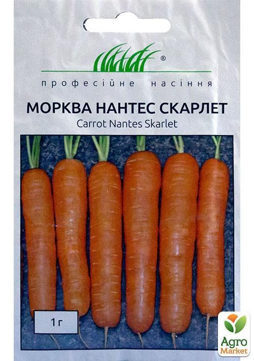 Морква "Нантес Скарлет" ТМ "Hem Zaden" 1г