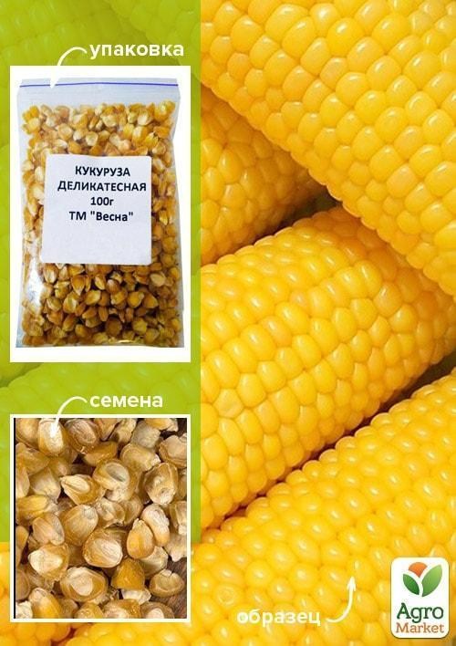 Кукурудза "Делікатесна" ТМ "Весна" 100г