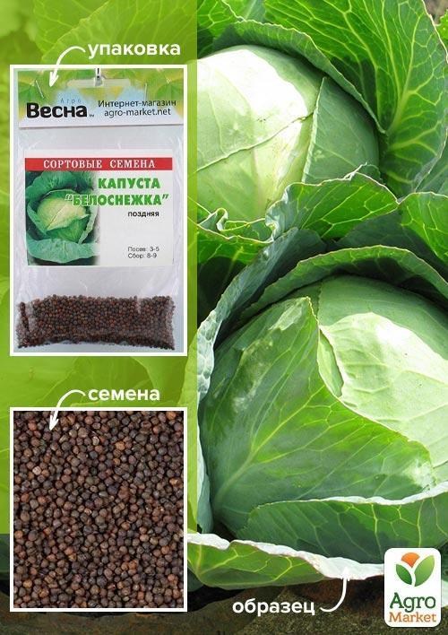 Капуста "Білосніжка" (Зипер) ТМ "Весна" 3г