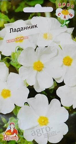 Ладанник ТМ "Радомир" 5шт