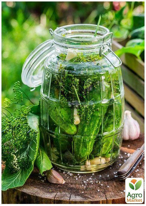 На развес Огурец "Малосольный F1" ТМ "Весна" цена за 3г - фото 5