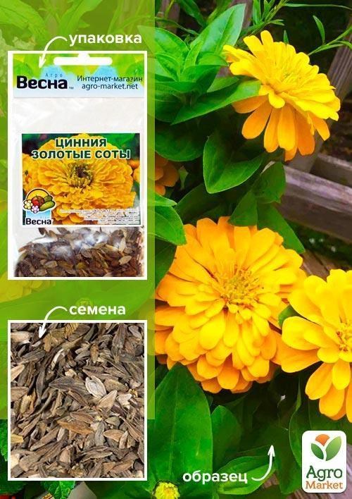 Цинія "Золоті соти" (Зипер) ТМ "Весна" 2г