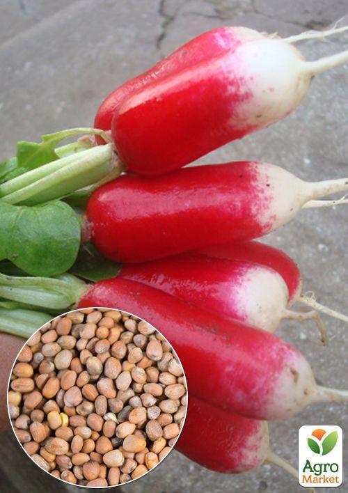 На вагу Редис "Французький сніданок" ТМ "Весна" ціна за 10г