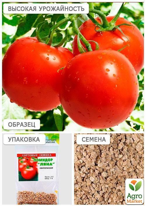 Томат "Ляна" (Зипер) ТМ "Весна" 0,5г - фото 4