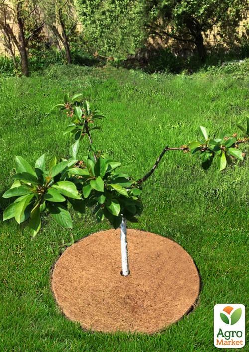 Пристовбурове коло EuroCocos з кокосового волокна d-50 см - фото 2