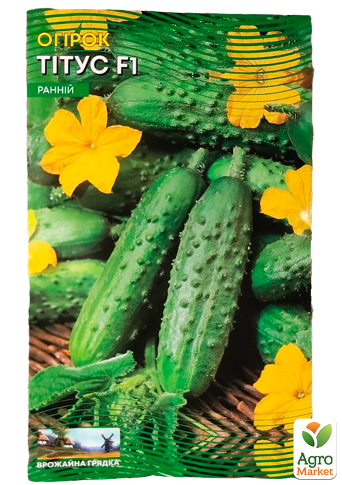 Огірок "Тітус F1" (Великий пакет) ТМ "Весна" 1.5г - фото 2