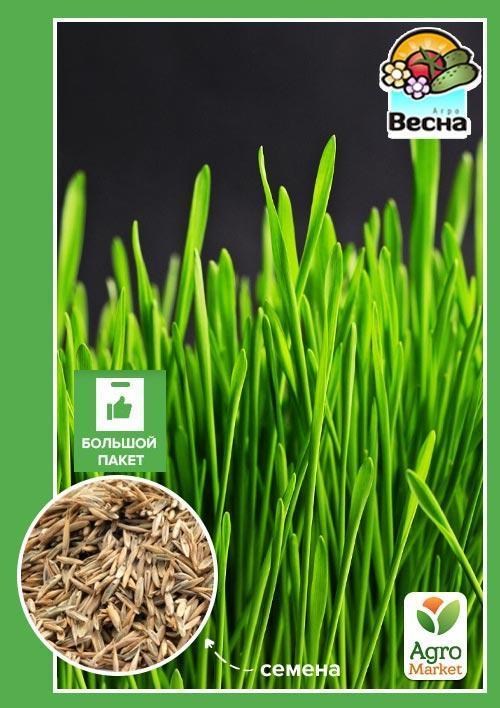 Трава для кошек (Большой пакет) ТМ "Весна" 15г