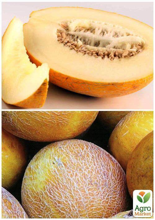 На вагу Диня "Колгоспниця" ТМ "Весна" ціна за 5г - фото 4